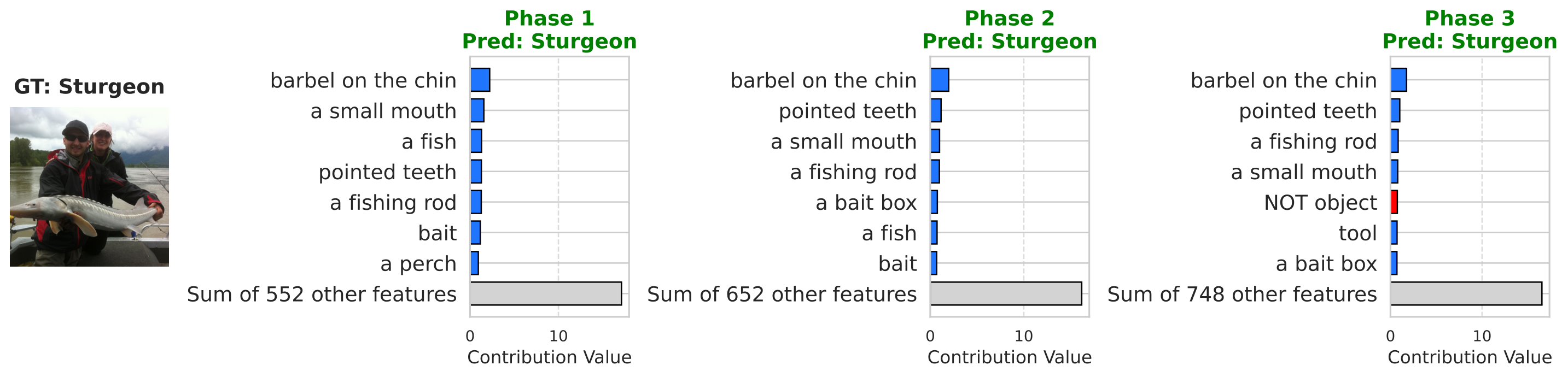 Figure A.1: concept contributions for Sturgeon with dense (non-sparse) predictor.