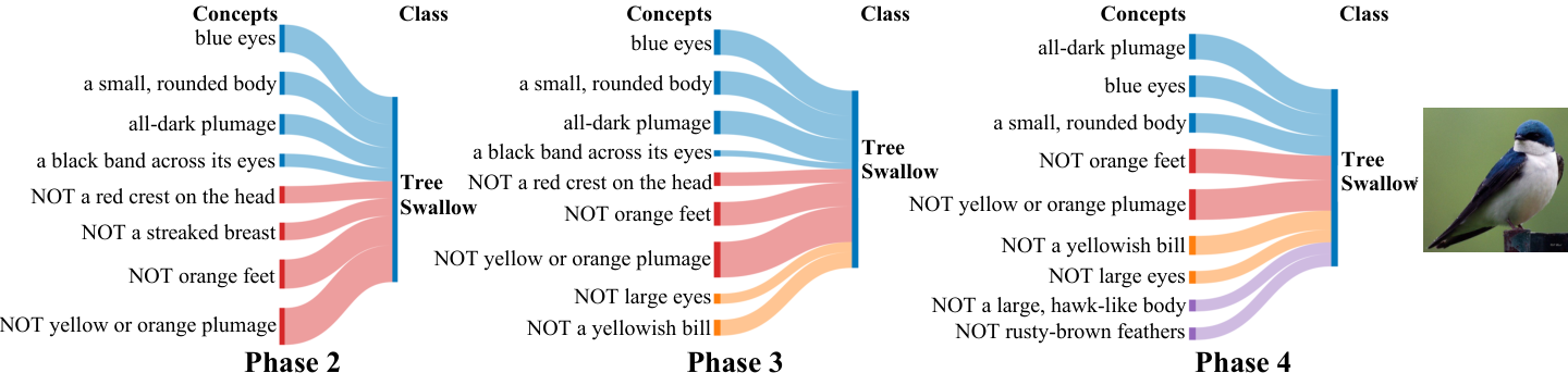 Figure A.2: Tree Swallow final-layer weights with half of concepts masked.