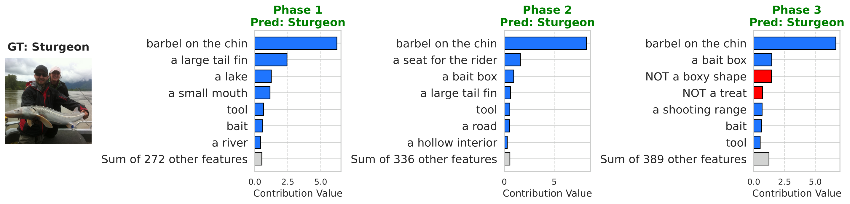 Figure A.3: concept contributions for Sturgeon under 50% concept masking.