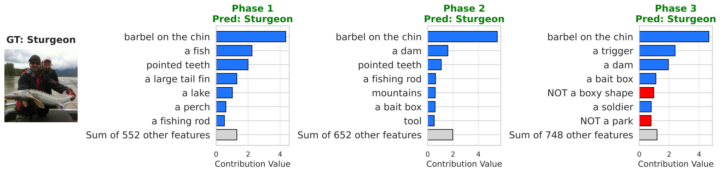 Local concept contributions for one prediction