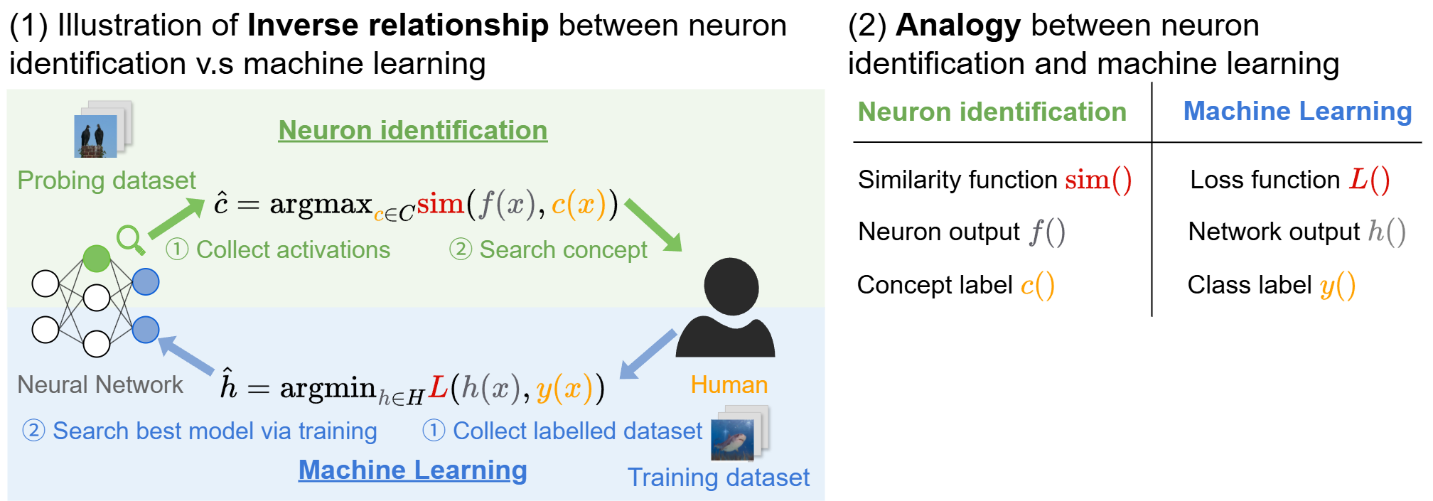 Analogy between neuron identification and machine learning